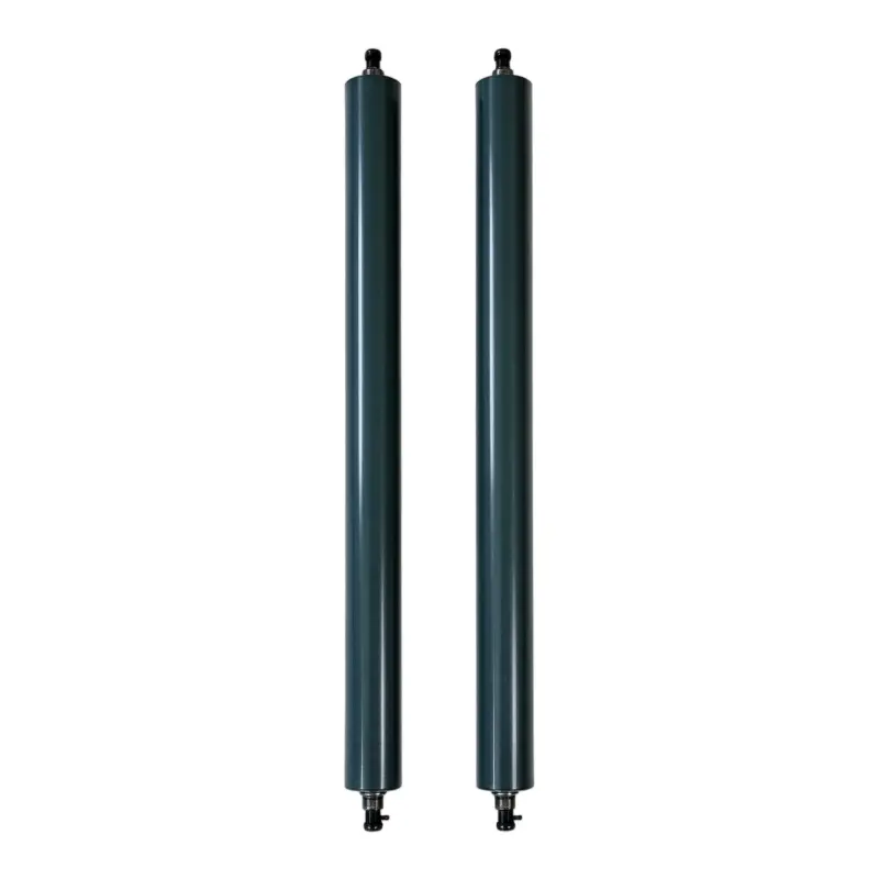 Custom High Quality M2.030.087F SM74 Z Roller
